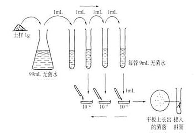 ΢ňDƬ_20200924171503.jpg