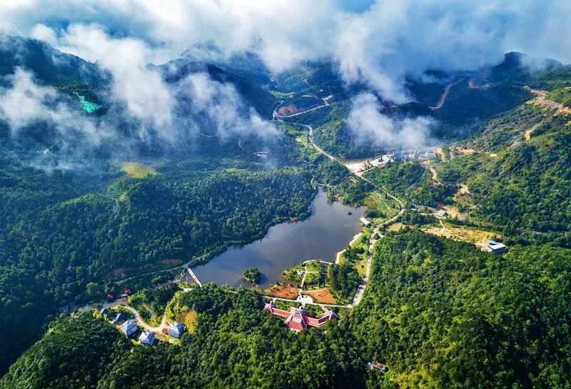 龙岩·梅花山 摄《绿色生态虎园美 林丰 北回归荒漠带上的绿色翡翠