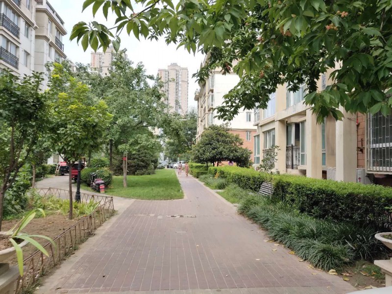 绿化8.jpg