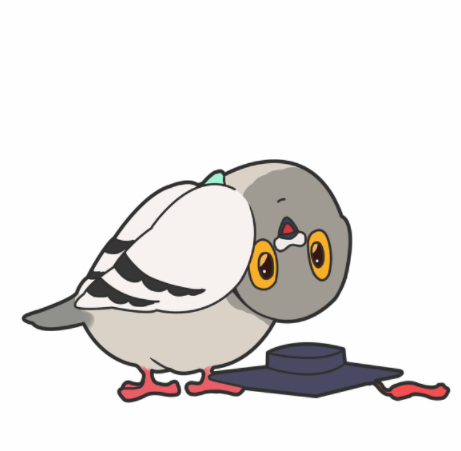06.png