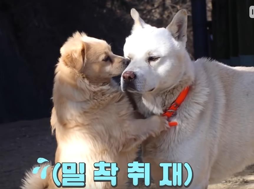 微信截图_20200310130642.jpg