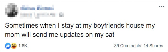 mom-sends-her-daughter-cat-updates-1-5e67504380e5f__700.jpg
