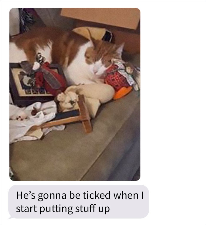 mom-sends-her-daughter-cat-updates-5e675a620edf3__700.jpg