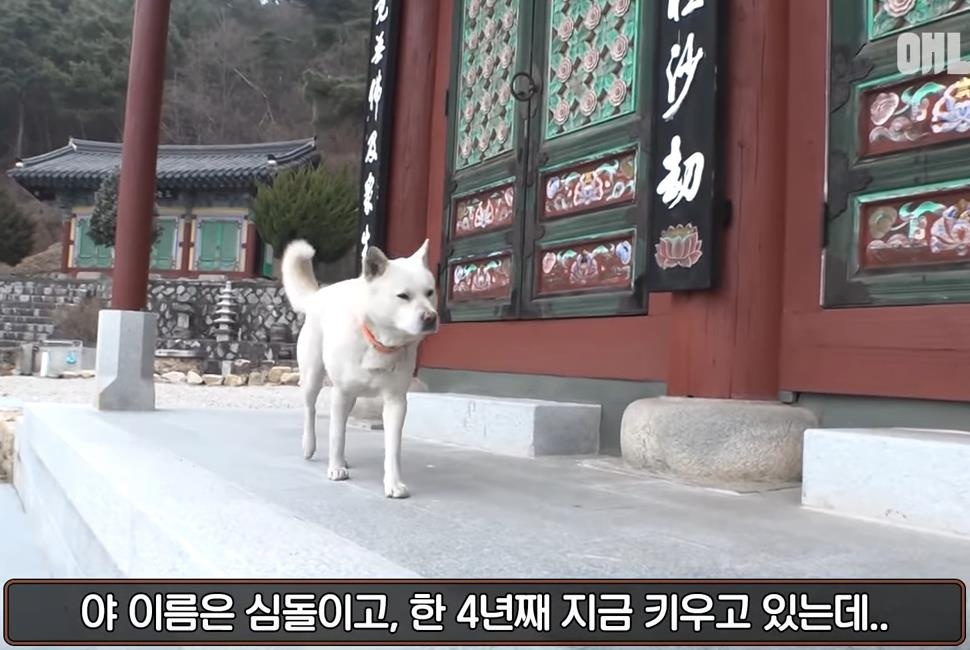 微信截图_20200310101434.jpg