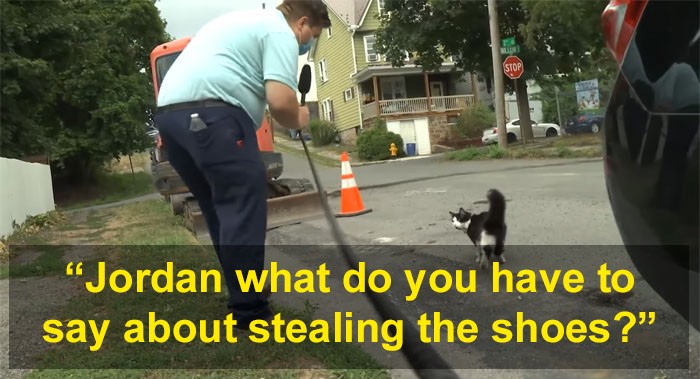 cat-steals-shoes-jordan-the-feline-cat-burglar-31.jpg
