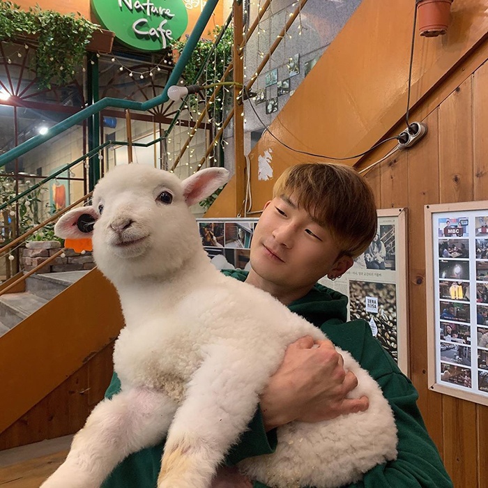 thanks-nature-sheep-cafe-korea-seoul-5e6b91b8c9487__700.jpg