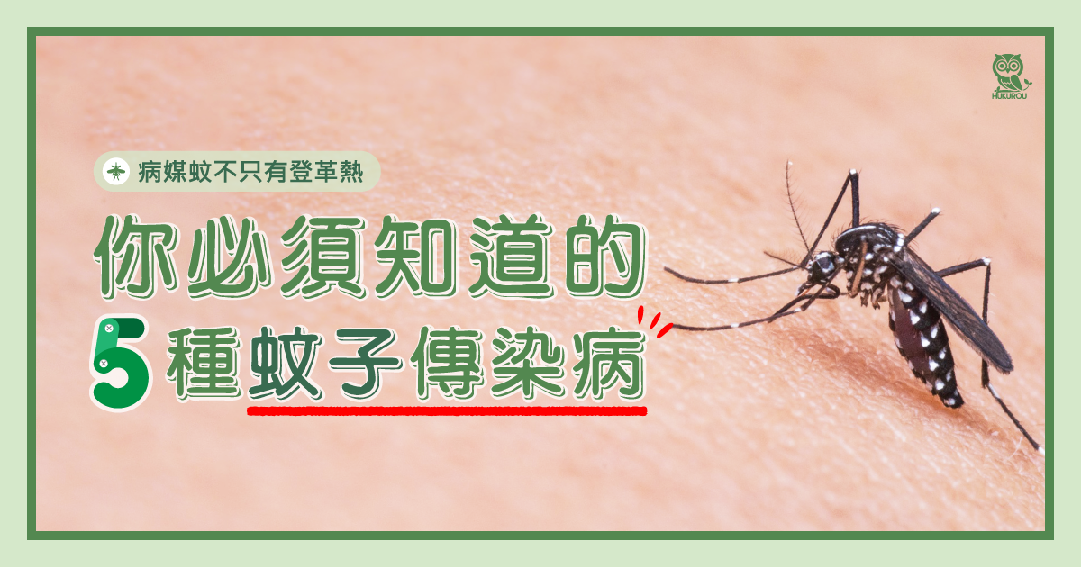 病媒蚊不只有登革熱，你必須知道的5種蚊子傳染病！