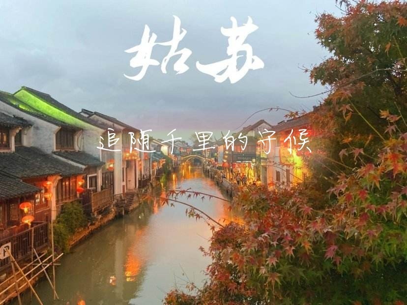 活动作品