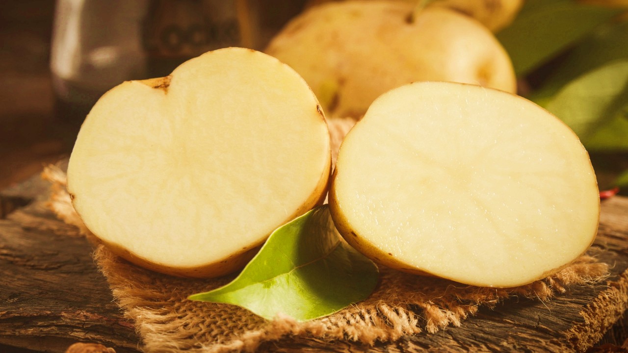 摄图网_501213984_banner_白心土豆（企业商用）.jpg