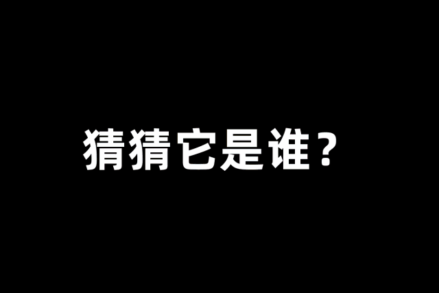 螺蛳粉2.GIF