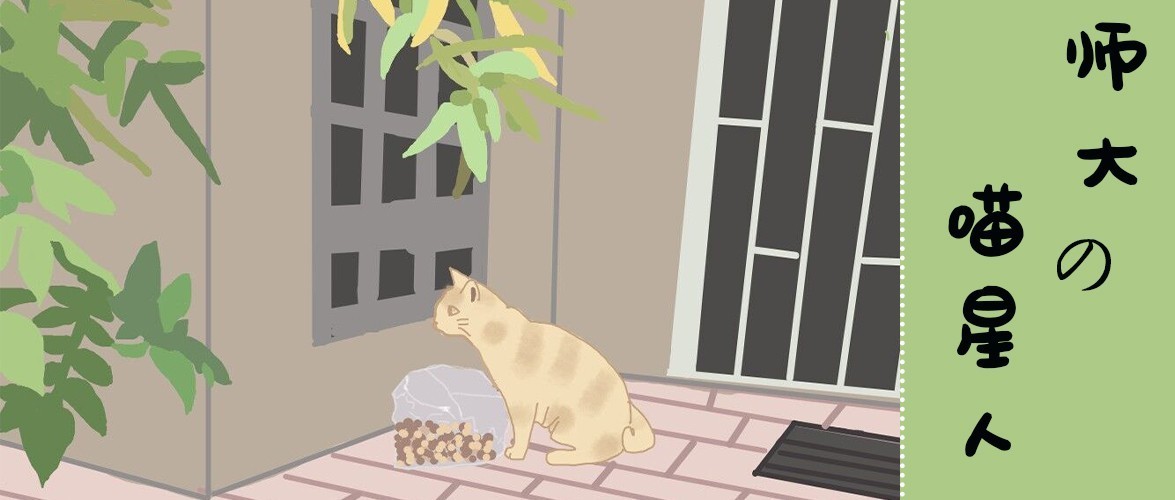 活动作品