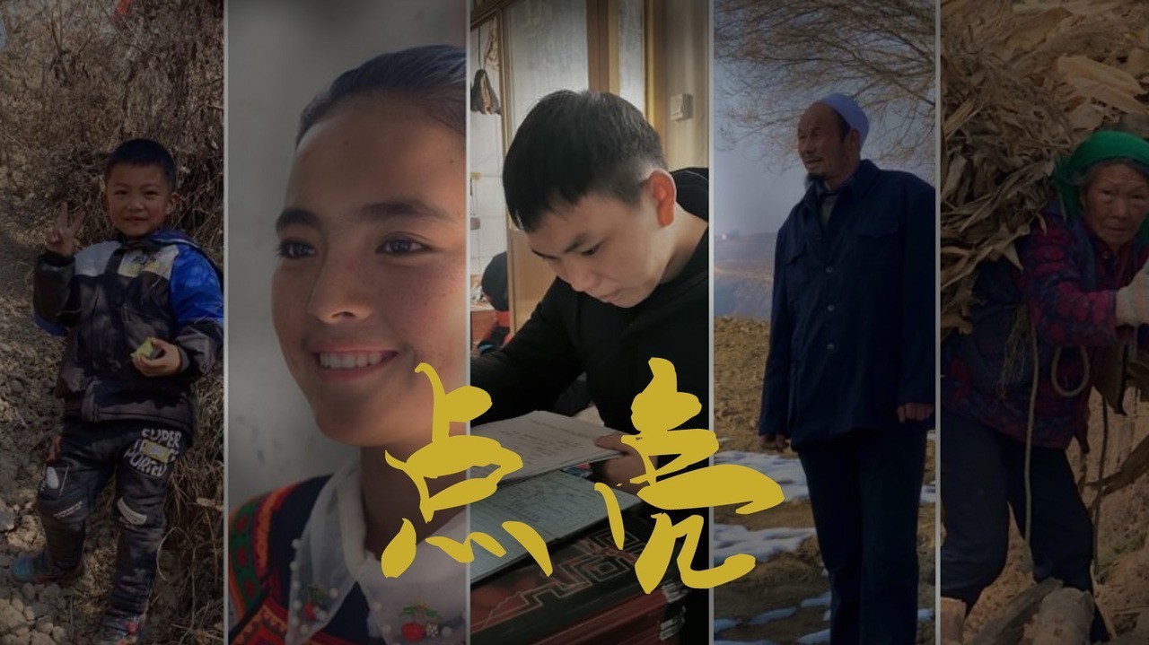 活动作品