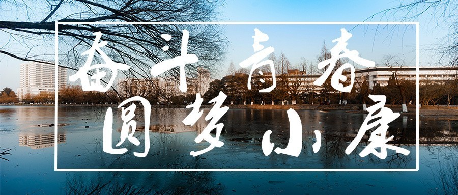 活动作品