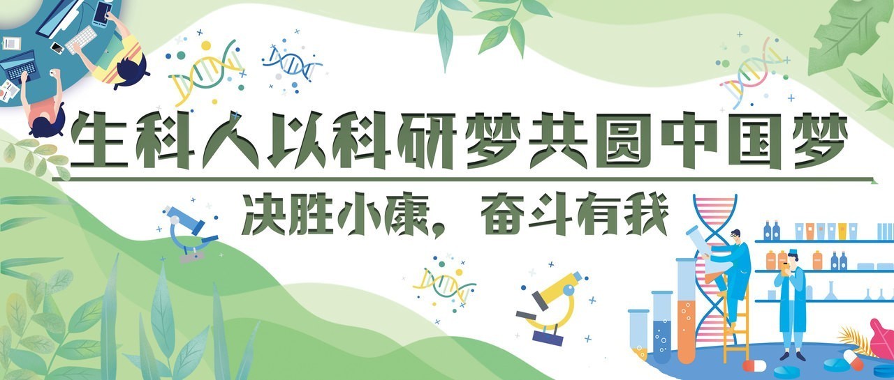活动作品