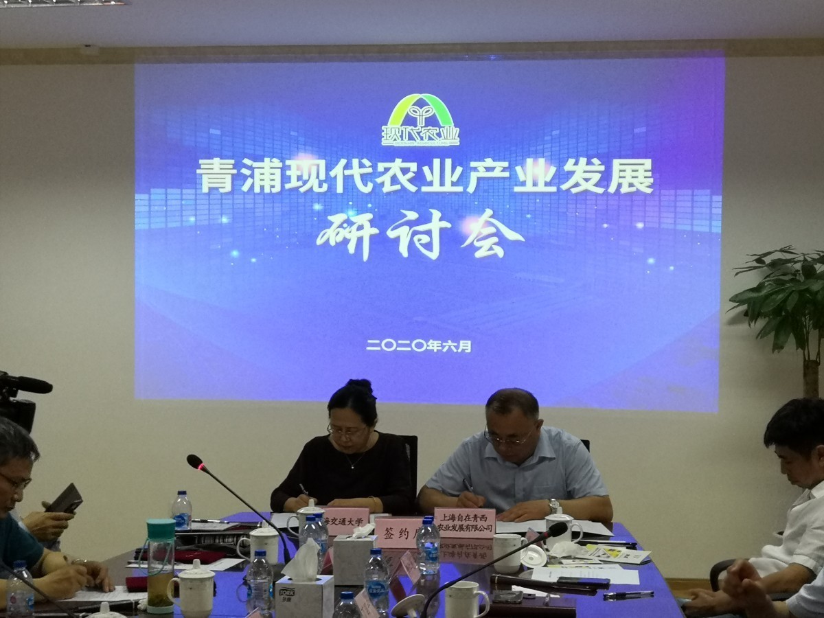 自在青西教授工作室签约2.jpg