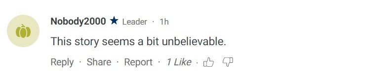 8-17.jpg