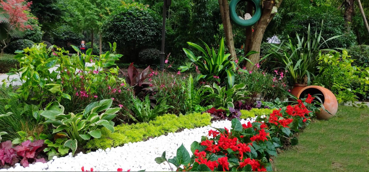 花卉绿植租摆价格报表