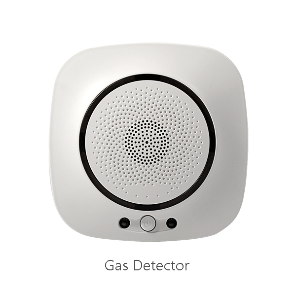 2 gas detector.png