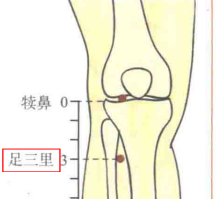 足三里_看图王.png