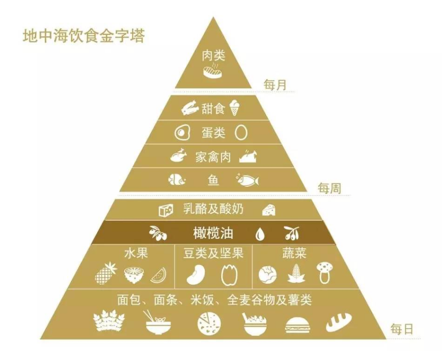 饮食金字塔.jpeg