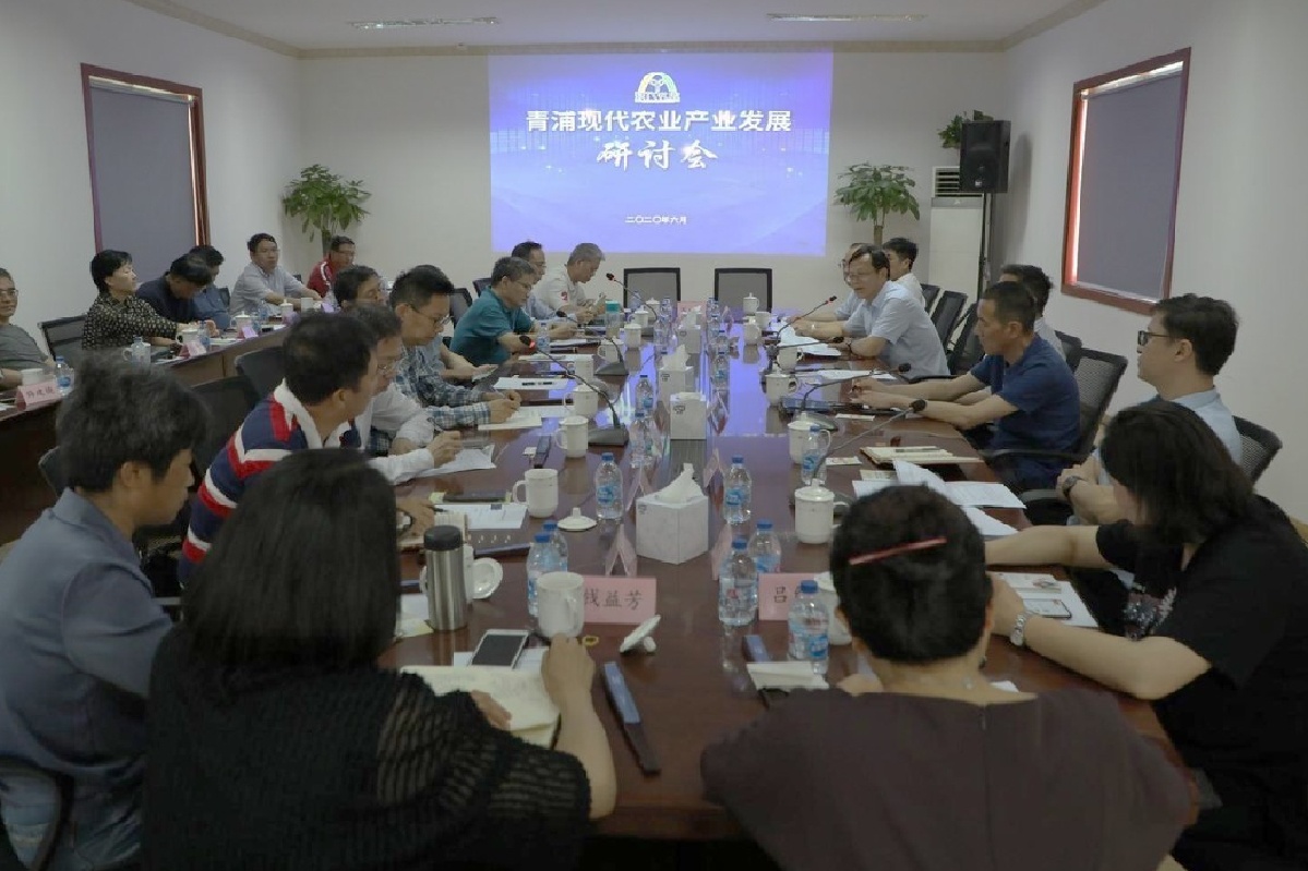 自在青西教授工作室签约3.jpg